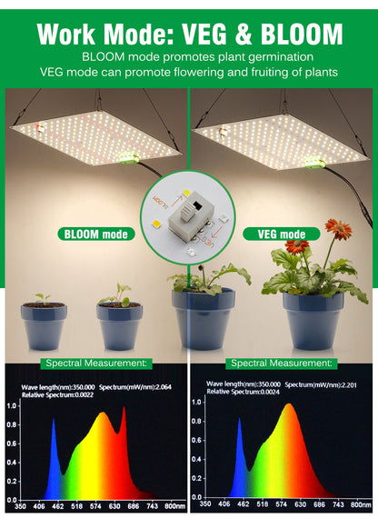 Quantum Plate Plant Fill Light Lamp 120W